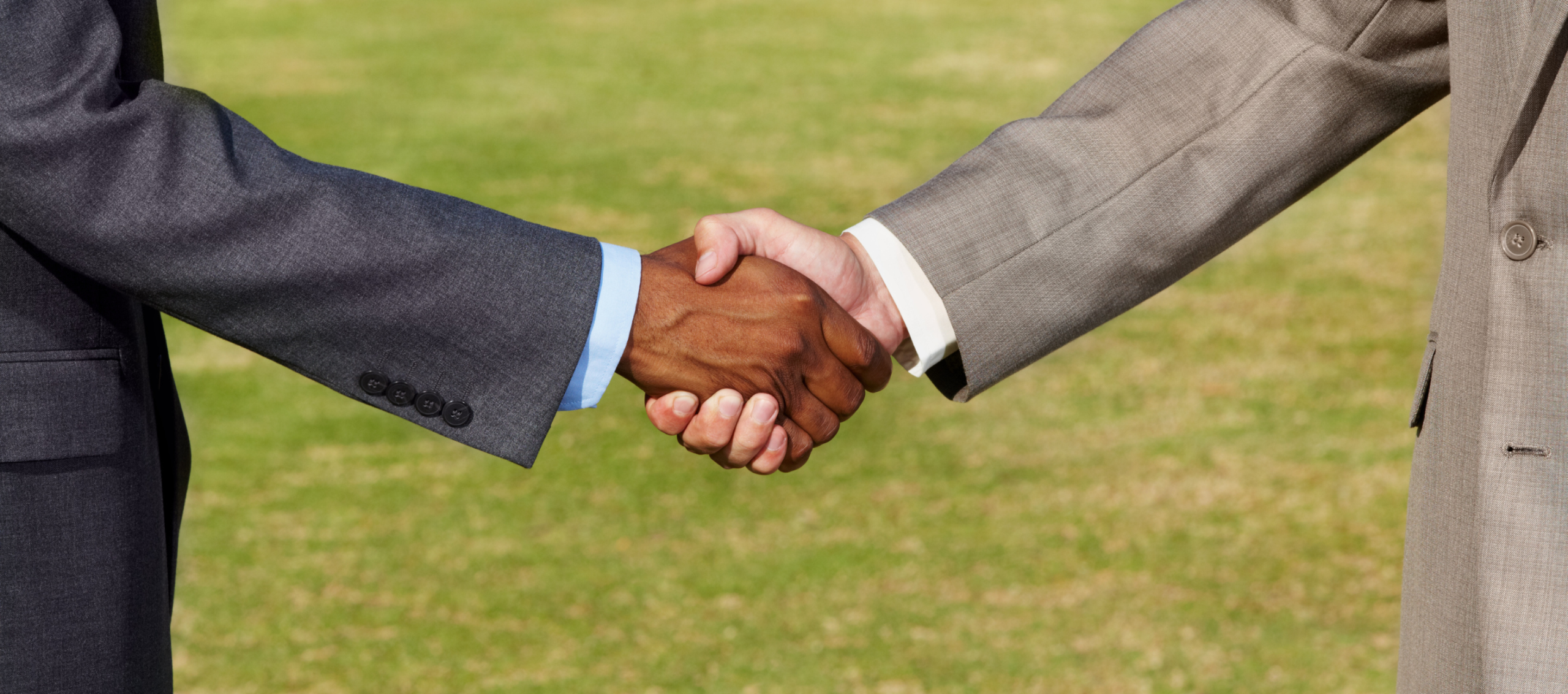 Public Private Partnership (PPP)